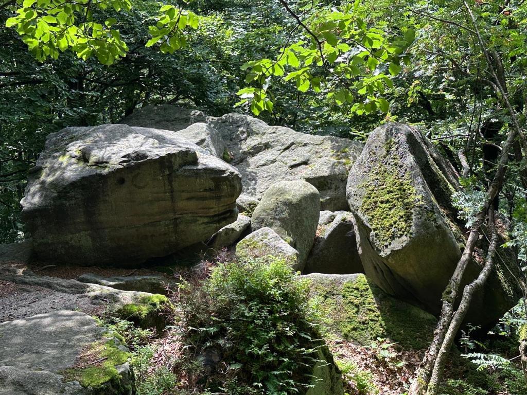 Magura i Rezerwat&nbsp;Kornuty