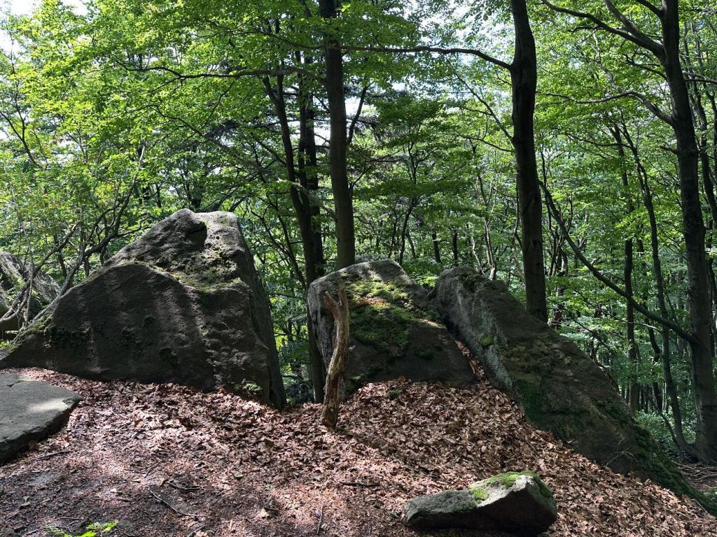 kornuty formacje skalne