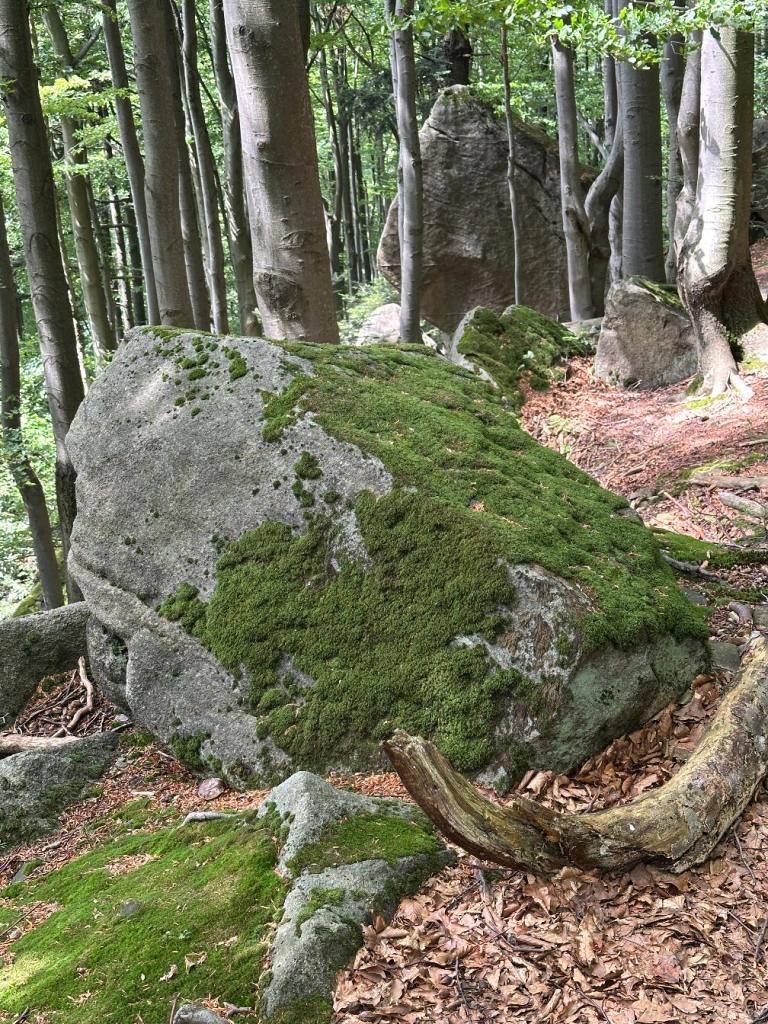 kornuty formacje skalne