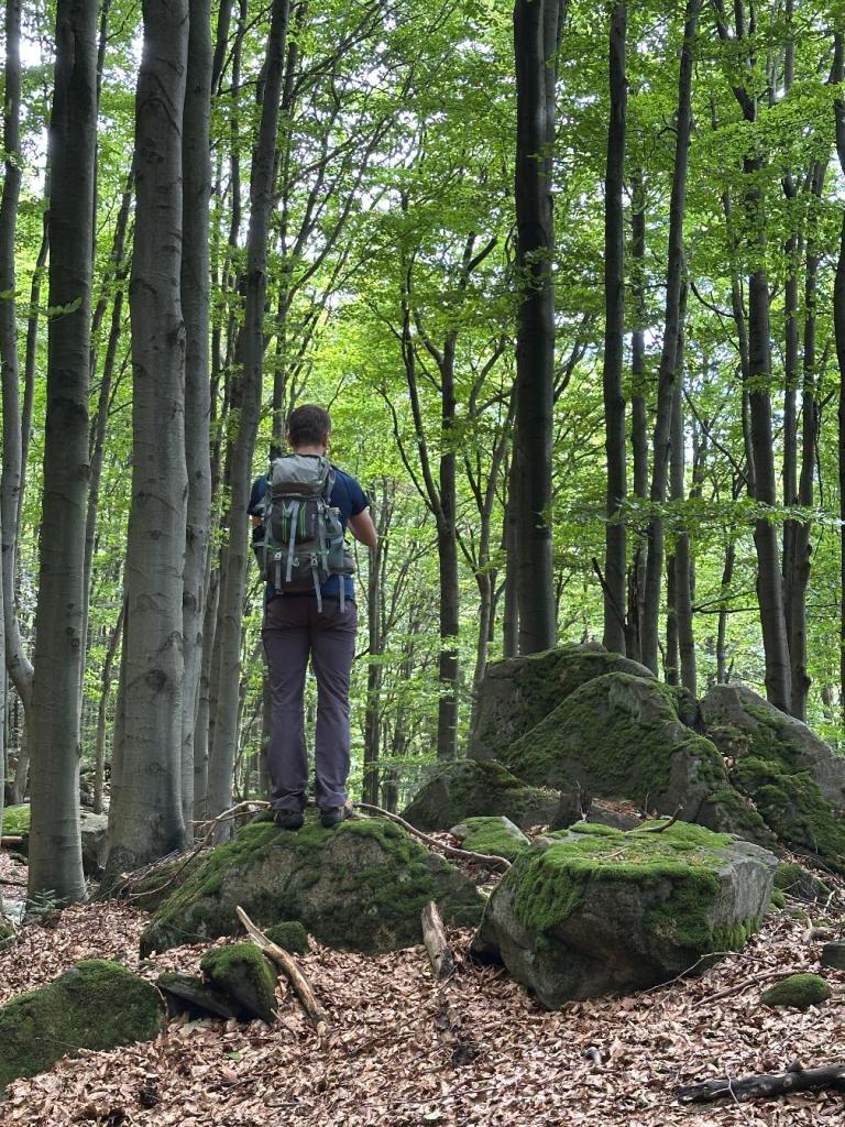 kornuty mężczyzna na skale