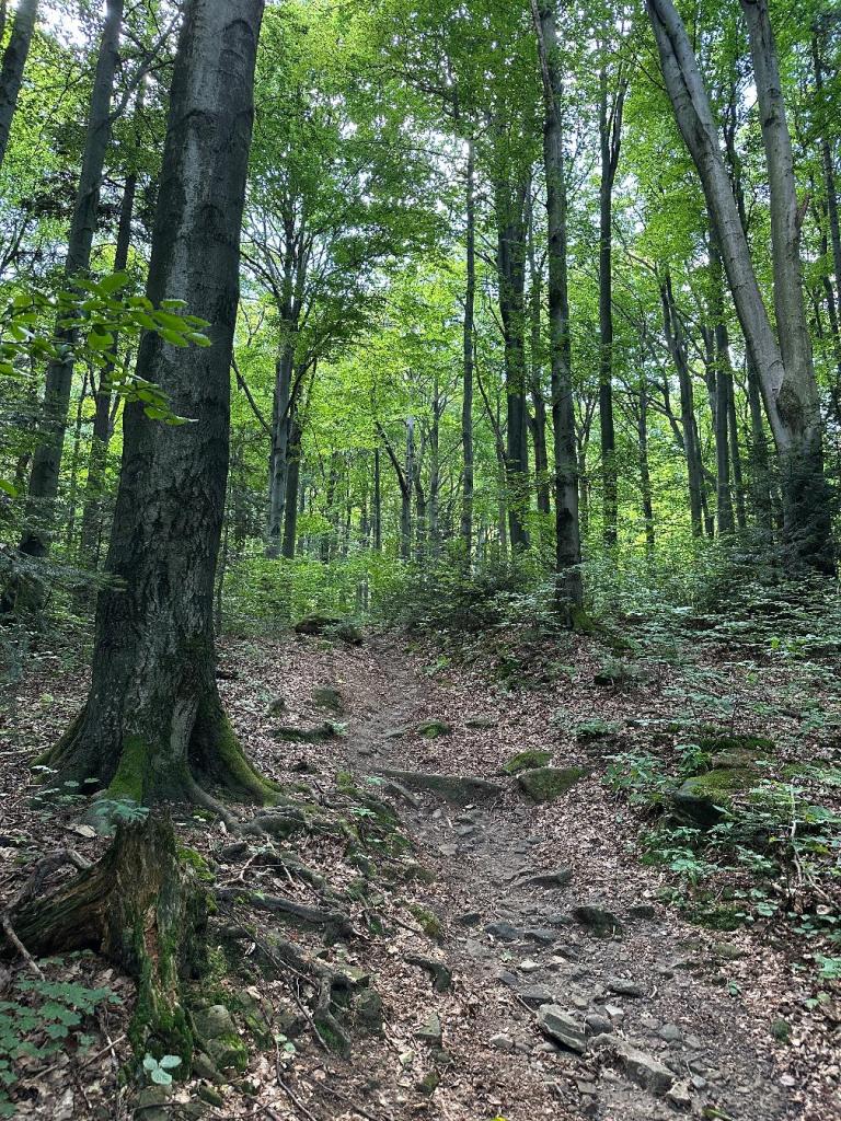 kornuty szlak kamienie