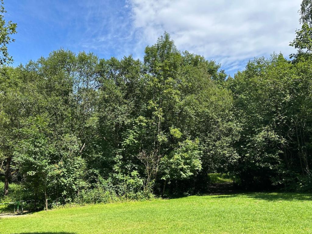 kornuty polanka folusz