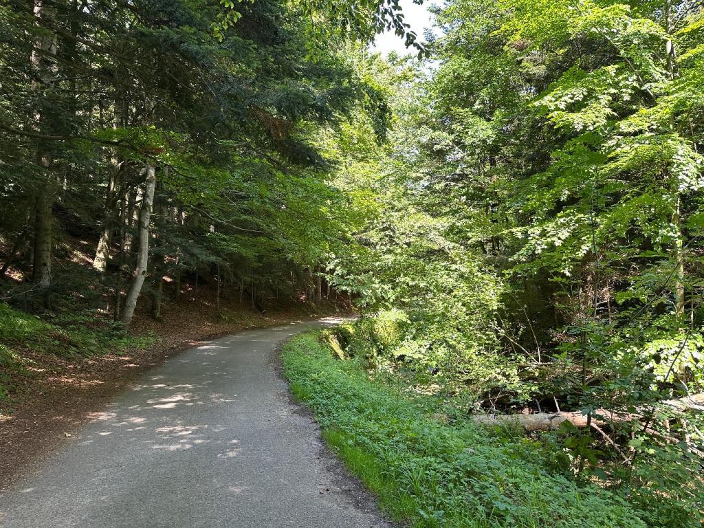 kornuty magura asfalt