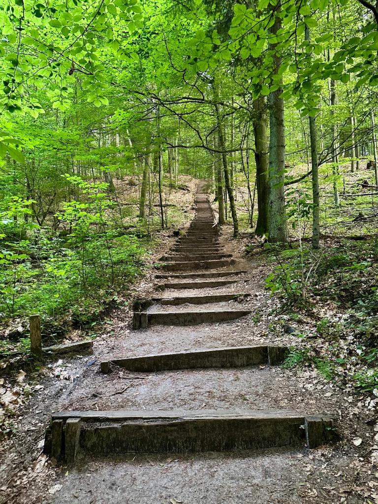 bukowa schody stopnie