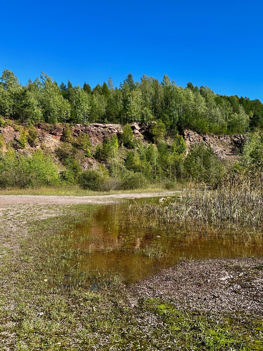 Rezerwat Zachełmie – kamieniołom i ślady&nbsp;tetrapoda