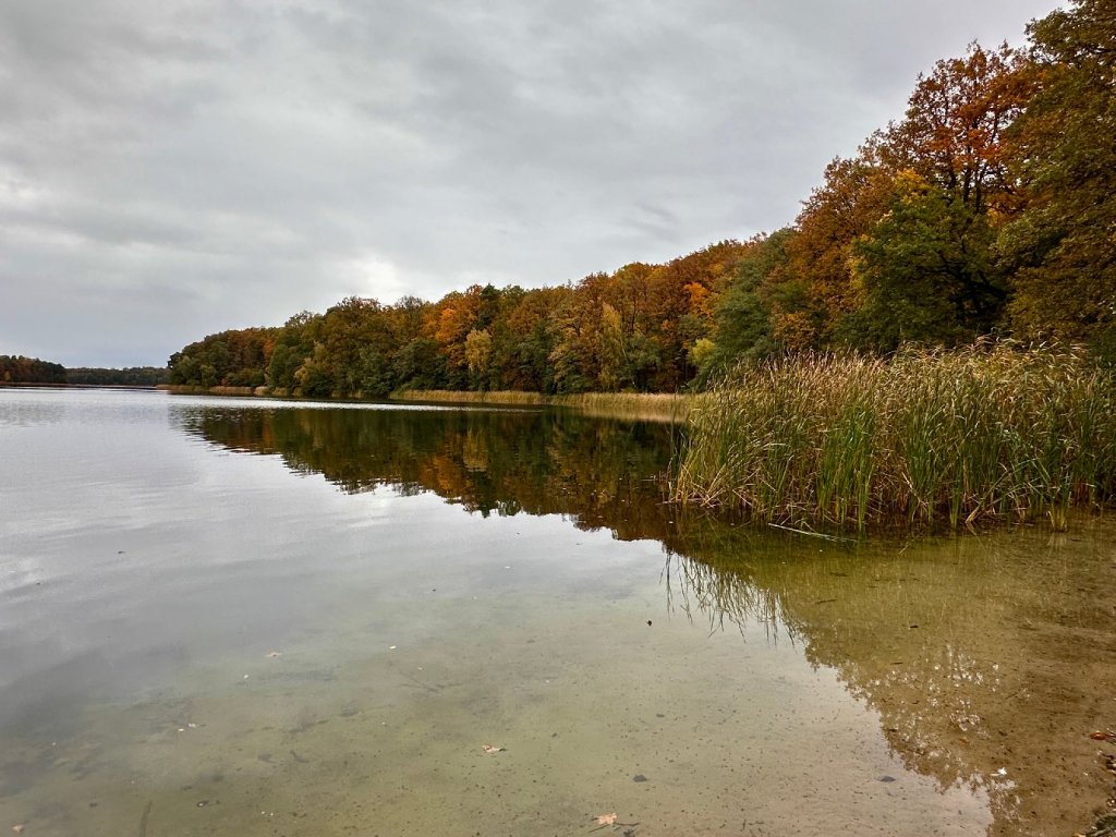 Jezioro Góreckie i Wyspa&nbsp;Zamkowa