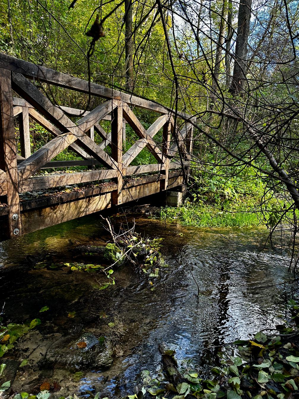 Rezerwat Czartowe Pole