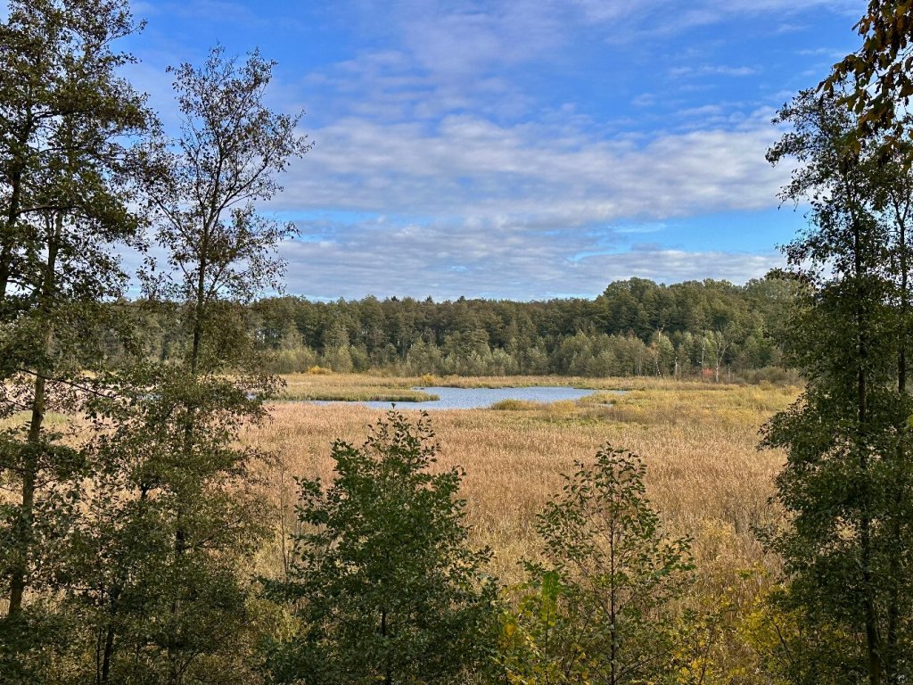 Trzcielińskie Bagno