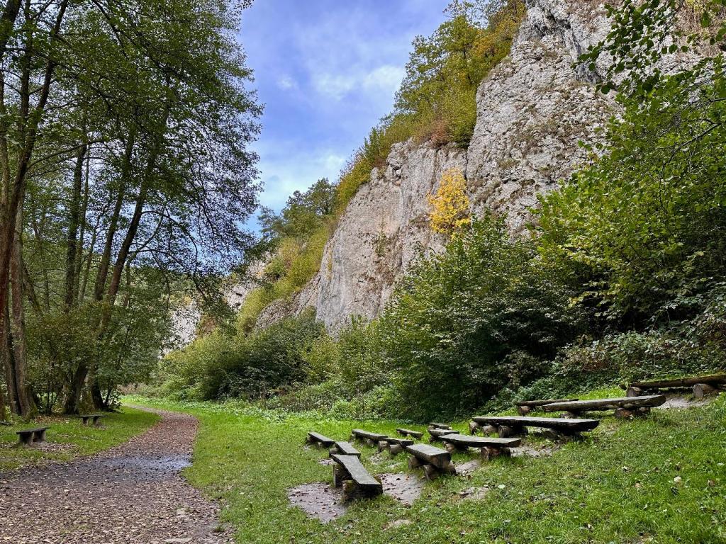 Rezerwat przyrody Dolina&nbsp;Mnikowska