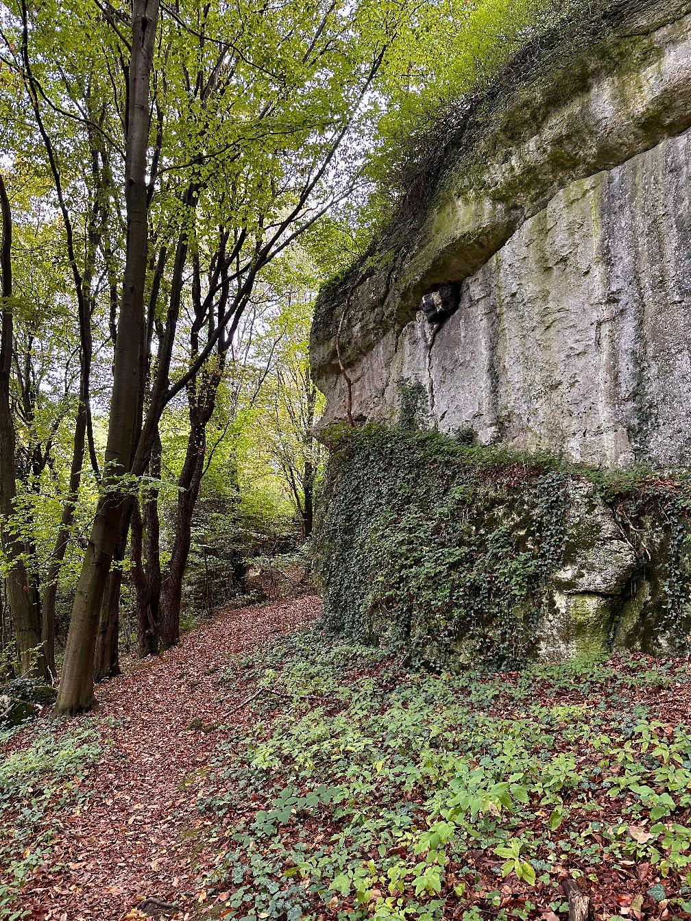 Rezerwat przyrody Zimny Dół w&nbsp;Czułowie