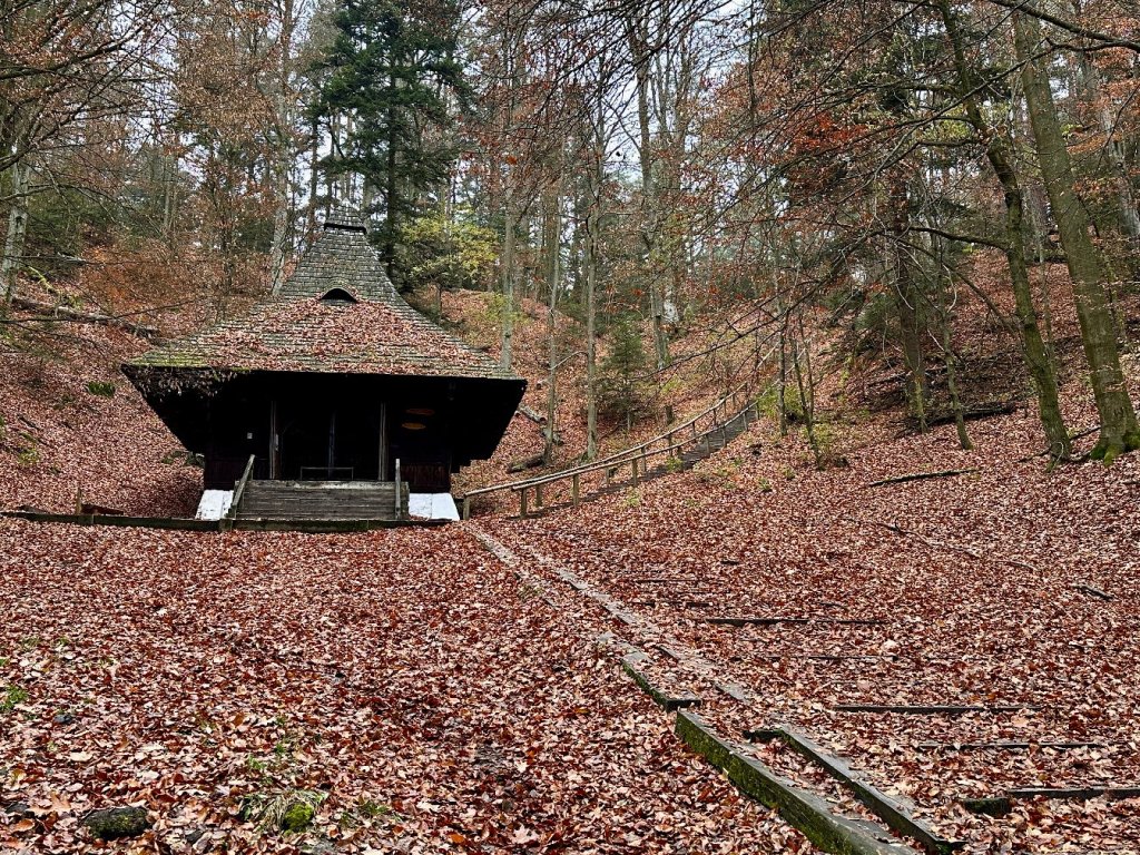 Rezerwat Święty Roch i wieża widokowa w&nbsp;Krasnobrodzie