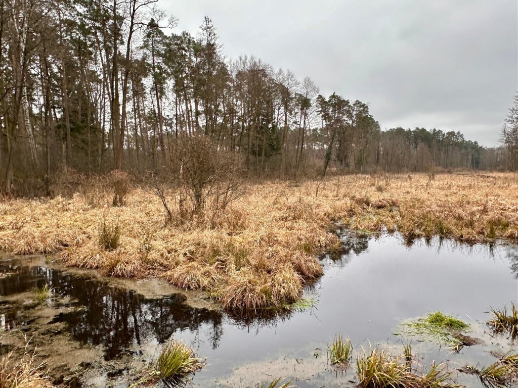 Ścieżka Królewskie Źródła