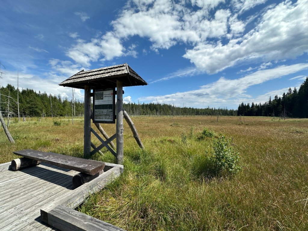 Torfowisko pod Zieleńcem