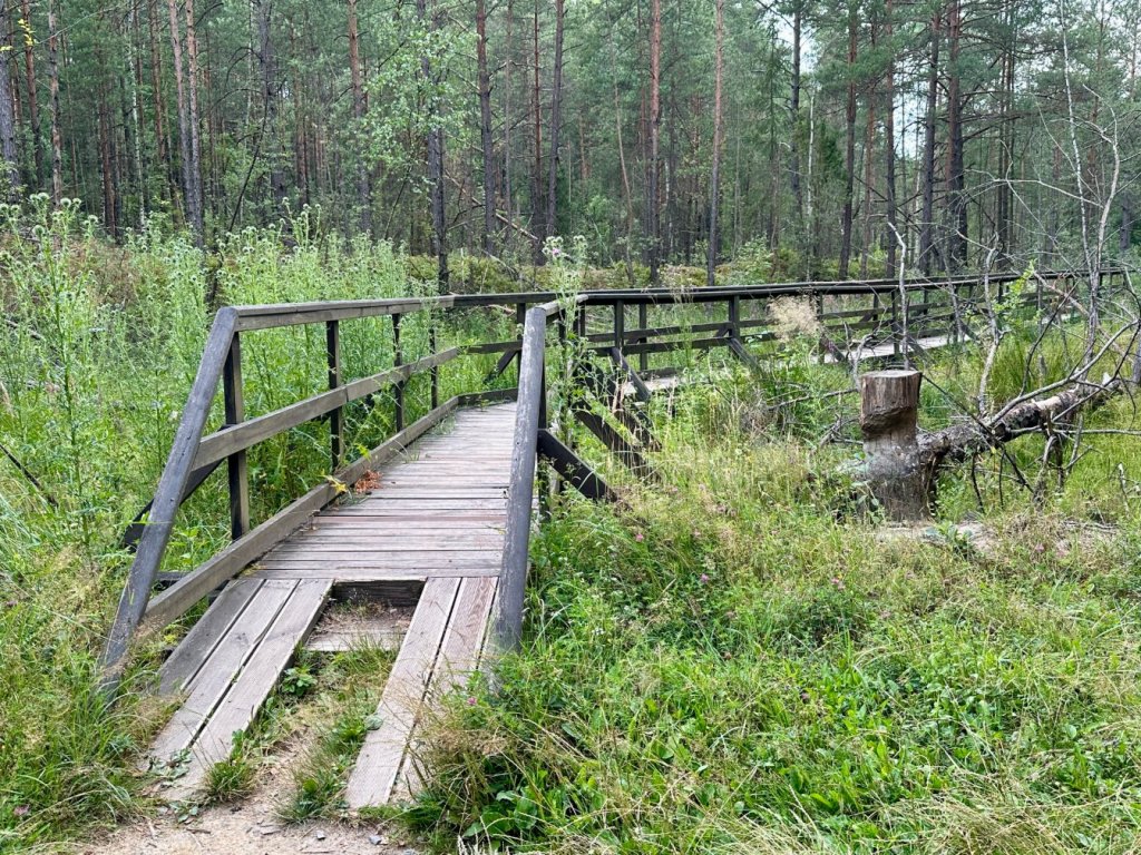 gagaty sołtykowskie mostek