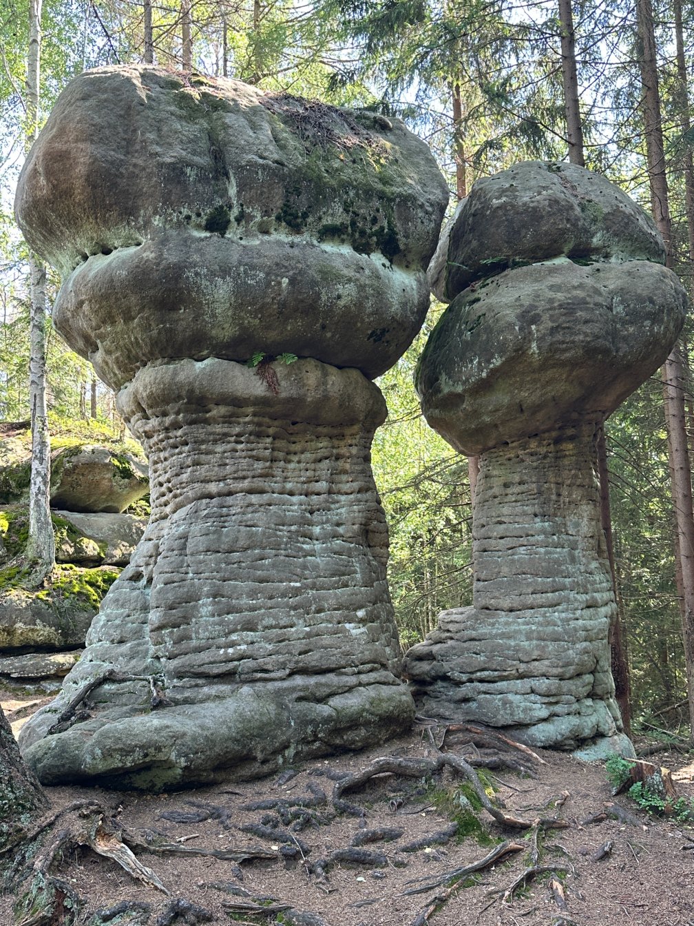 Skalne Grzyby i Niknąca&nbsp;Łąka