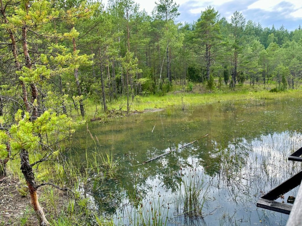 gagaty sołtykowskie rozlewisko odbicie drzew