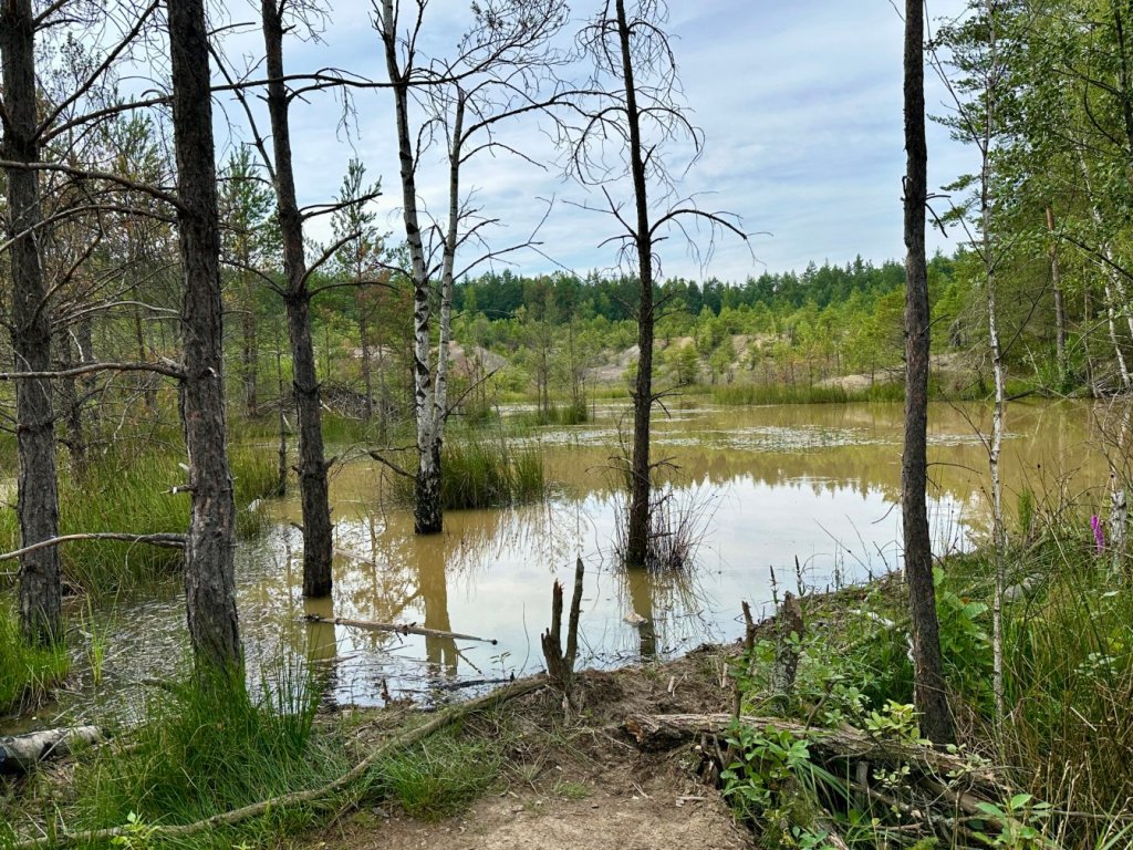 gagaty sołtykowskie rozlewisko kolor wody