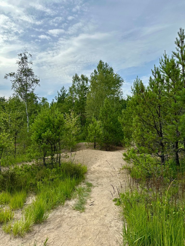 gagaty sołtykowskie rozlewisko piasek