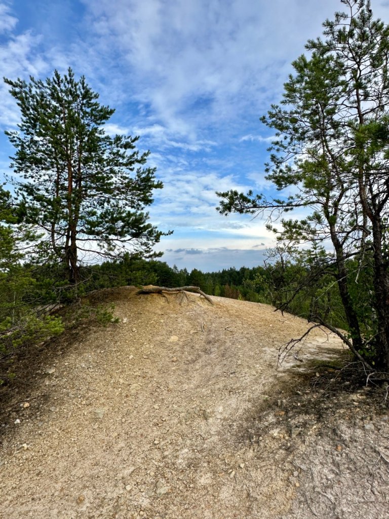 gagaty sołtykowskie skarpa