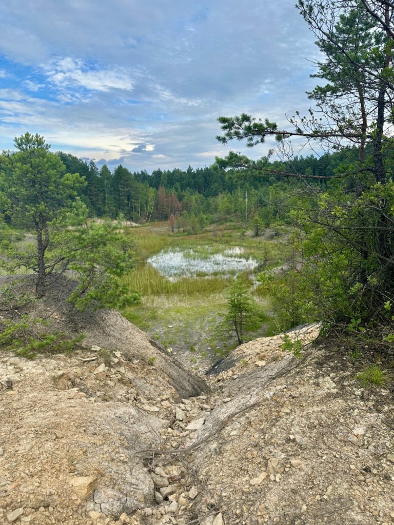 gagaty sołtykowskie rozlewisko