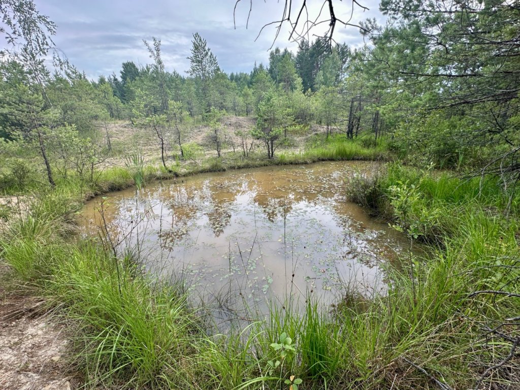 gagaty sołtykowskie jezioro