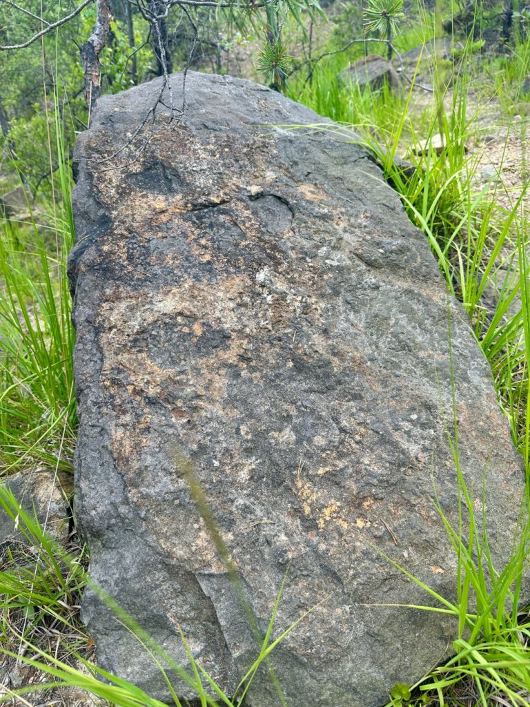 gagaty sołtykowskie skała ślad dinozaura