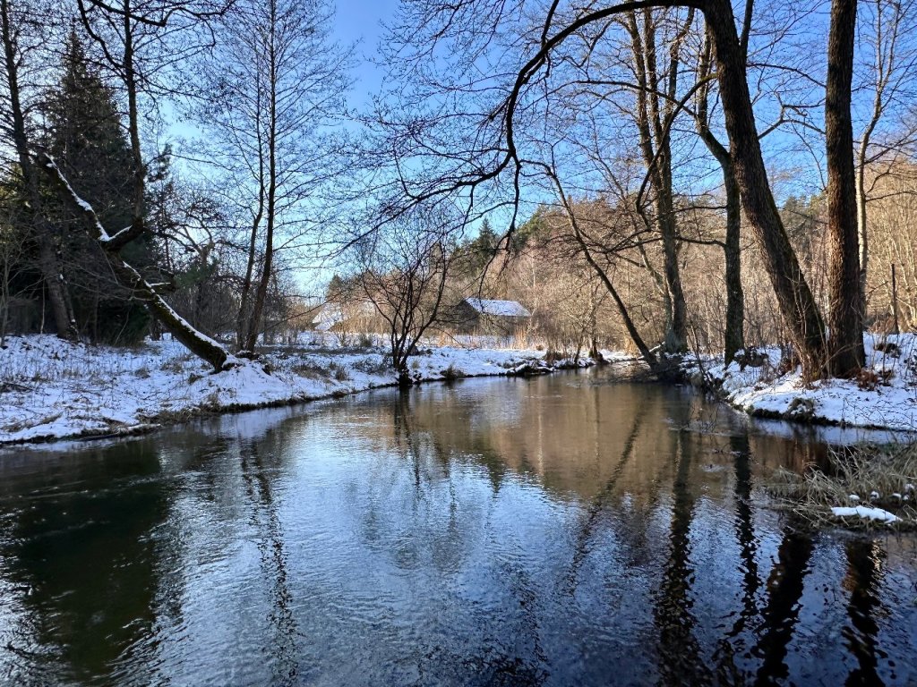 Rezerwat nad Tanwią – Szumy&nbsp;zimą