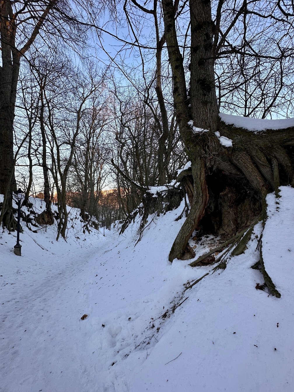 Wąwóz Św. Jacka Odrowąża w Sandomierzu