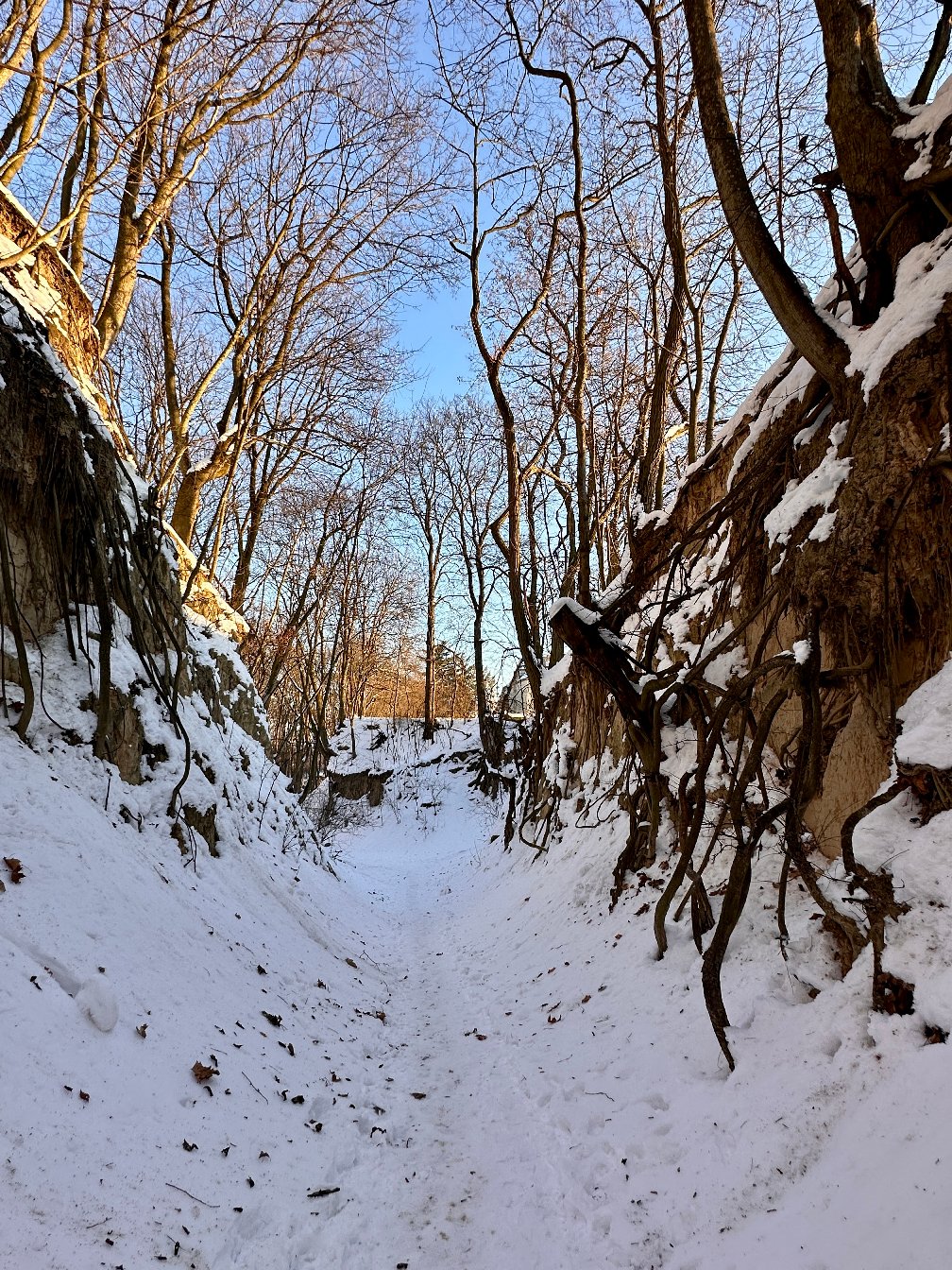 Wąwóz Królowej Jadwigi w Sandomierzu