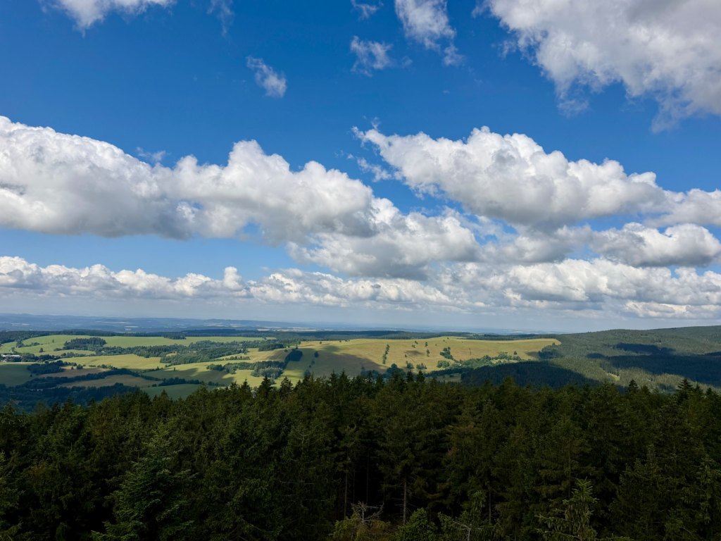 Czerniec z Gniewoszowa – wieża widokowa