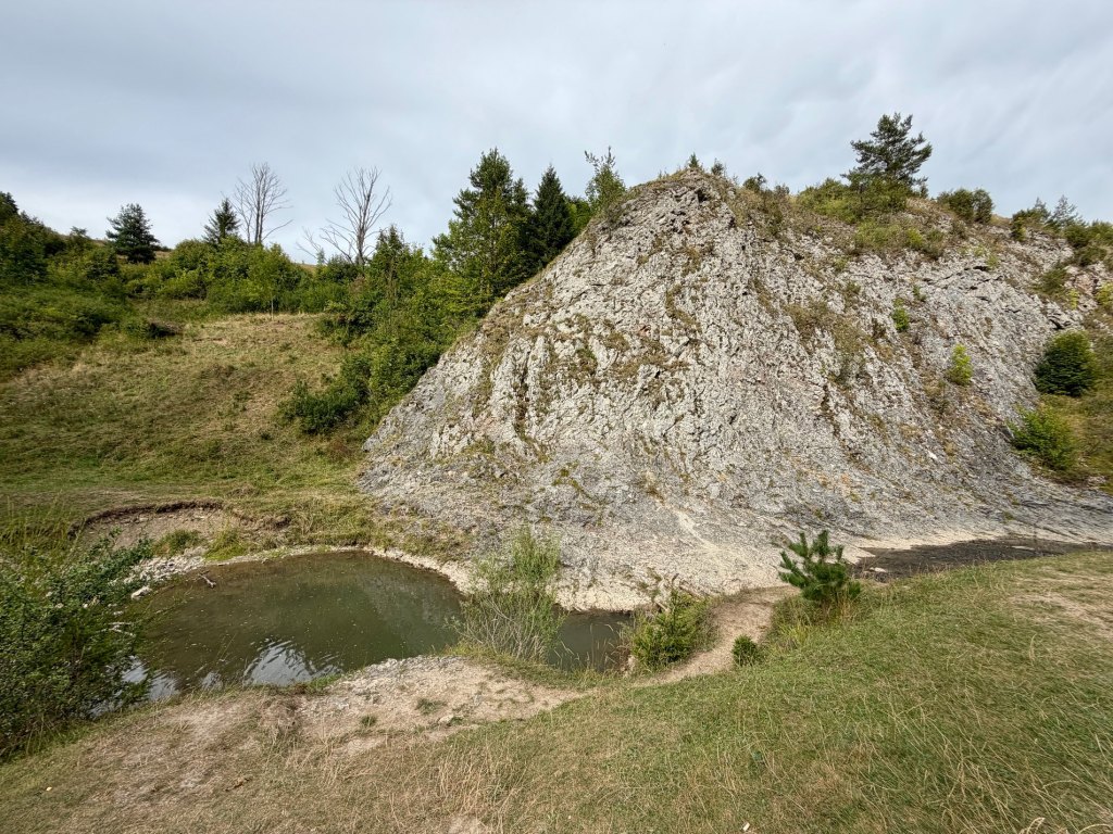 Rezerwat Biała Woda w Pieninach